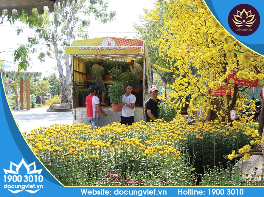 Mua sắm hoa kiểng Tết Nguyên Đán
